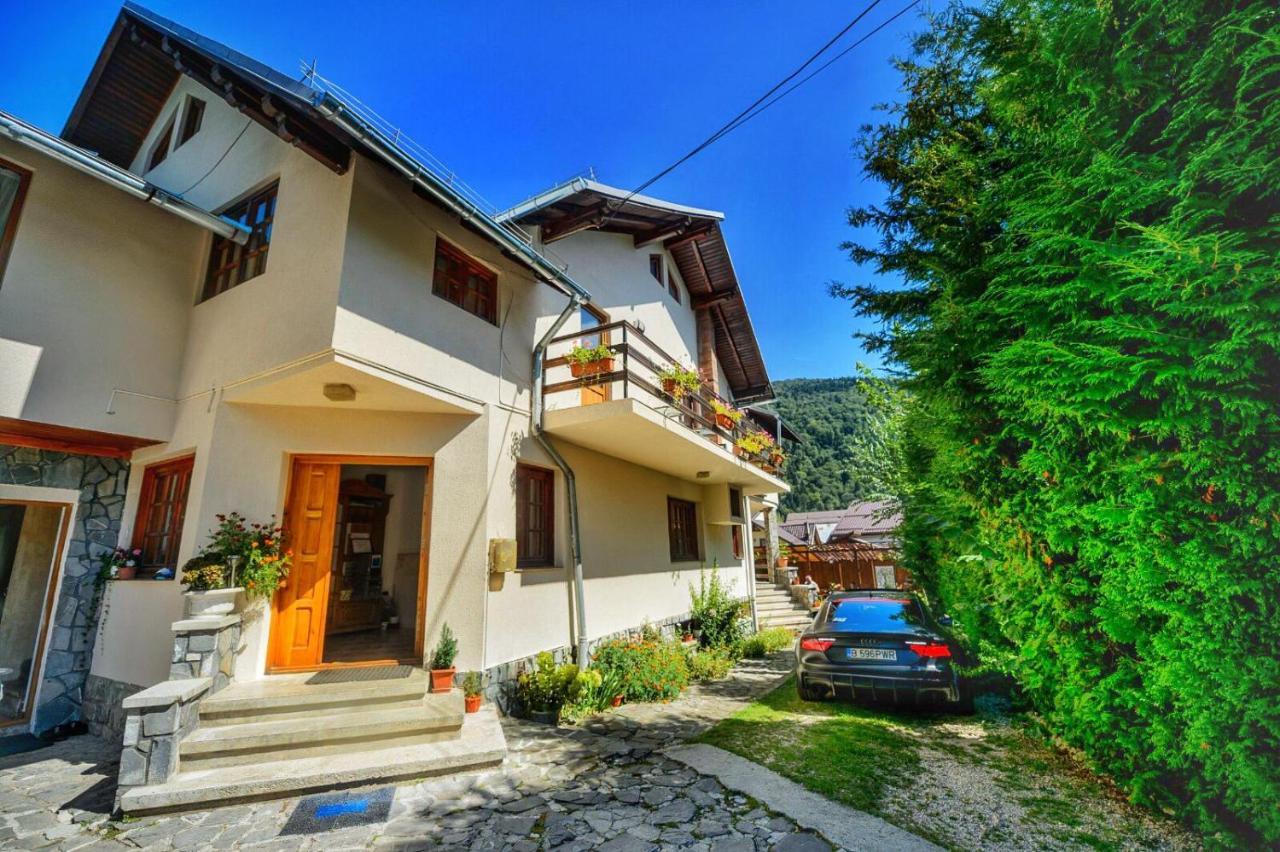 Amandra Chalet Sinaia Kültér fotó