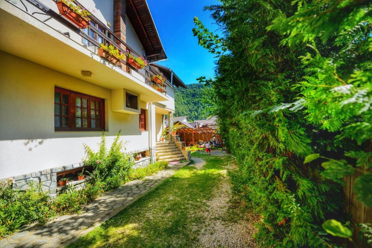 Amandra Chalet Sinaia Kültér fotó