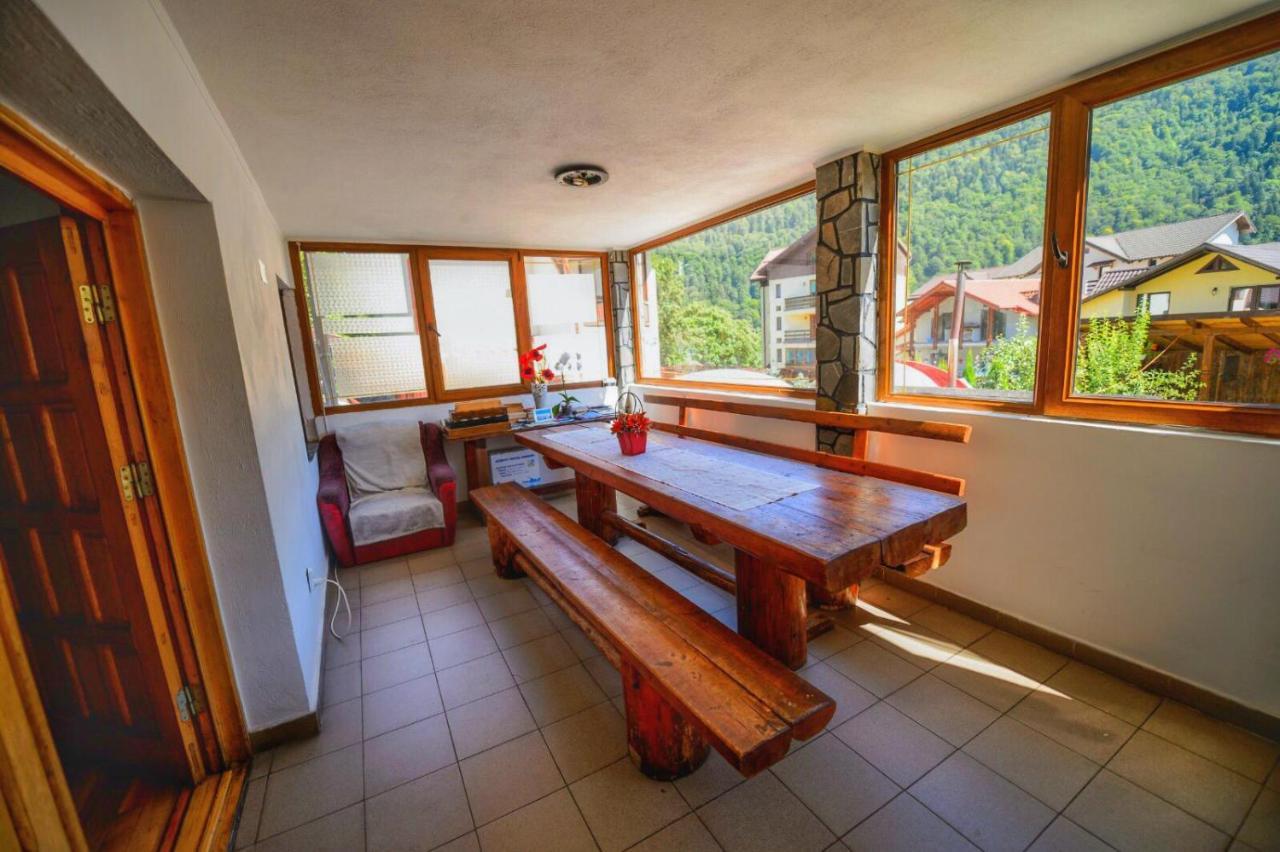 Amandra Chalet Sinaia Kültér fotó