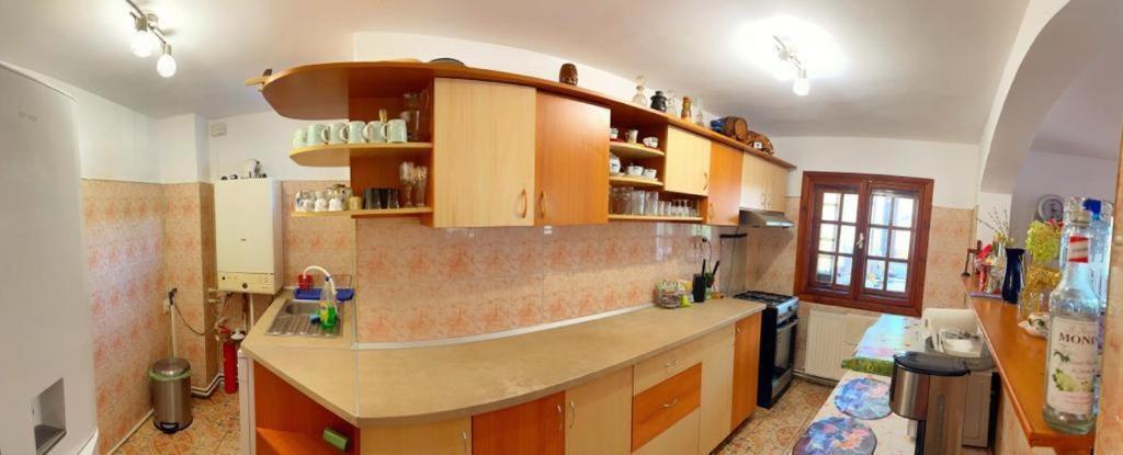 Amandra Chalet Sinaia Kültér fotó