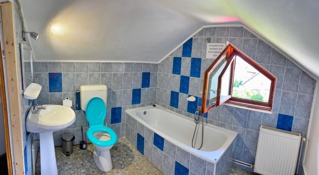 Amandra Chalet Sinaia Kültér fotó