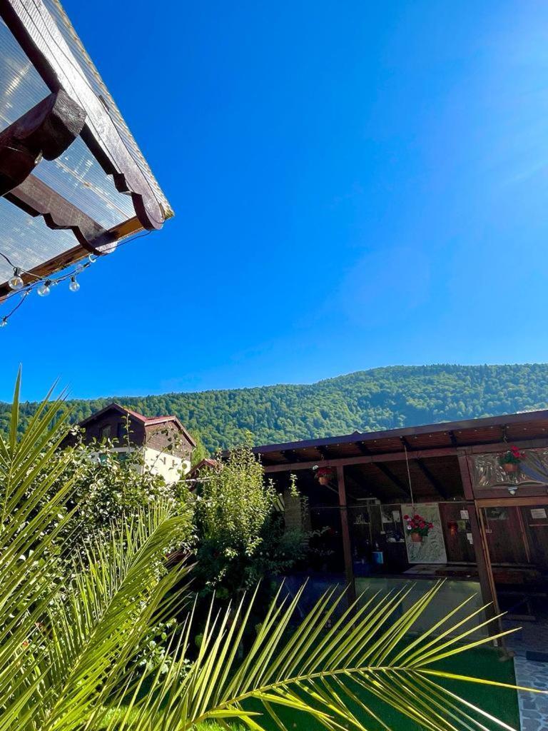 Amandra Chalet Sinaia Kültér fotó