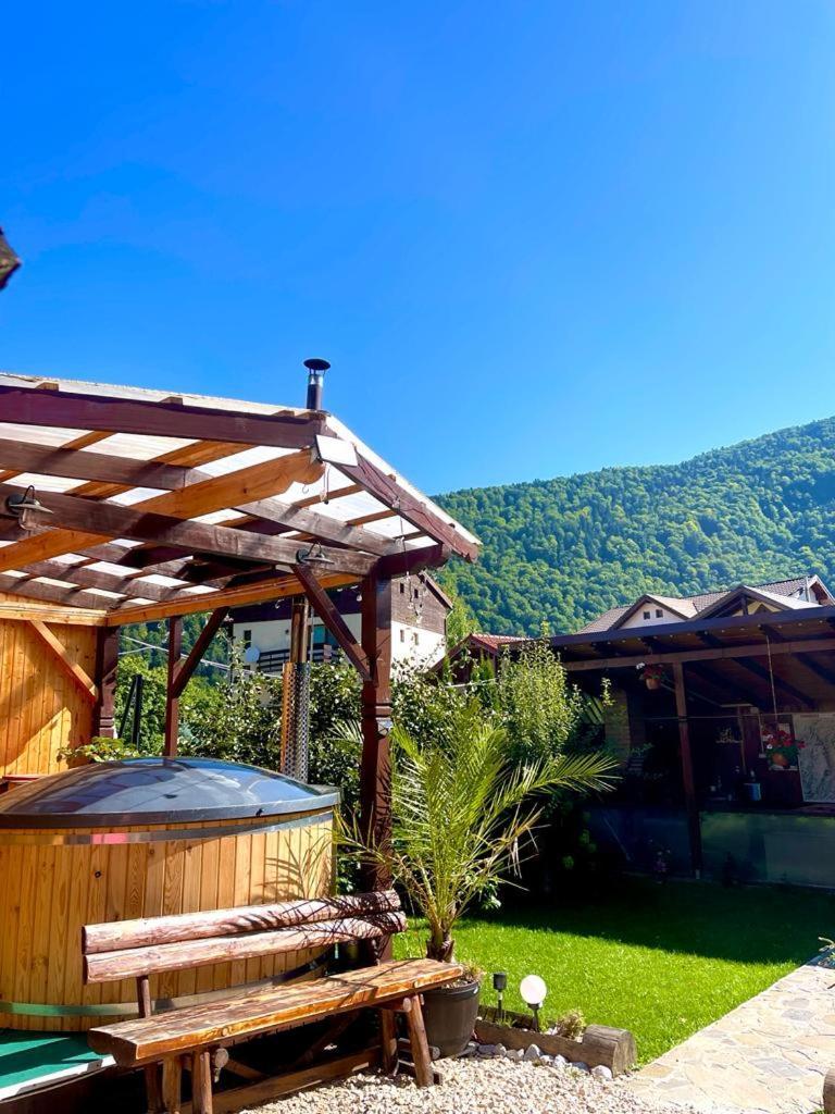 Amandra Chalet Sinaia Kültér fotó