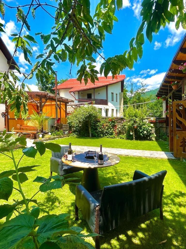 Amandra Chalet Sinaia Kültér fotó